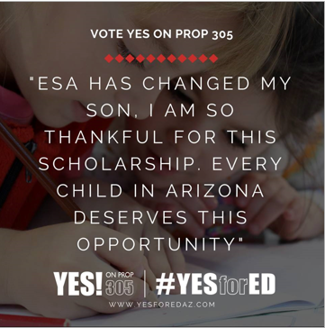Where Can You Find Free YES ON PROP 305 Resources